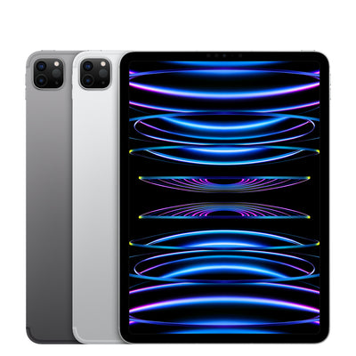 Apple iPad Pro 12.9" (4th Generation, 2020) | 128GB | WiFi